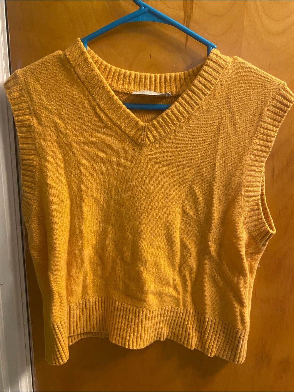 Everlane Women's V-Neck Sleeveless Knit Vest in Orange